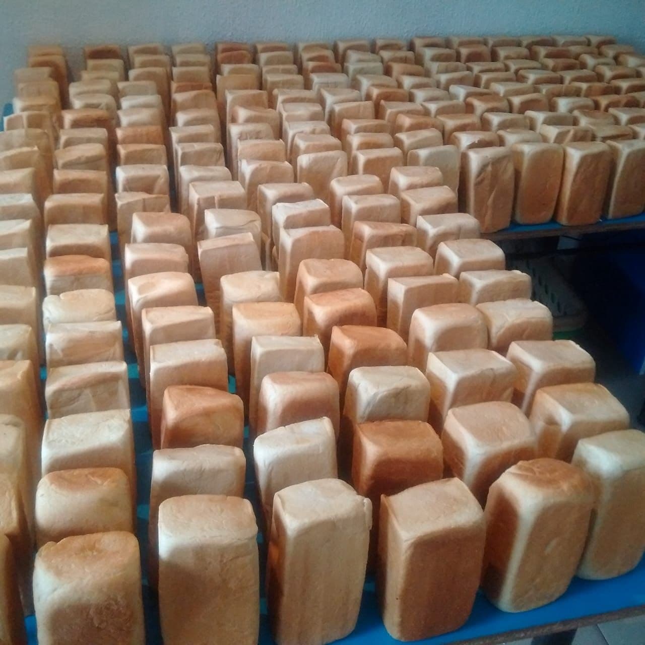 Sundries and Allied Bakeries bread photo 1